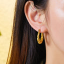 Wholesale Stainless Steel Golden Earrings for Women - European and American - style Light Luxury Titanium Steel Twisted C - shaped Ear Hoops