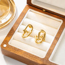INS Style Stainless Steel Earrings - 18K Gold Plated Irregular Studs & Horseshoe - 扣 Double - Ring Titanium Steel Dangles