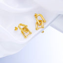 INS Style Stainless Steel Earrings - 18K Gold Plated Irregular Studs & Horseshoe - 扣 Double - Ring Titanium Steel Dangles