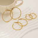 INS Style Titanium Steel Earrings for Women - Light Luxury Gold Oversized Hoops, High-End Minimalist Cool-Tone Design, Non-Fading