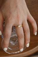 Niche Princess Cut Sterling Silver Ring - Feather Gold-Tone Romantic Design, Statement Jewelry for Women